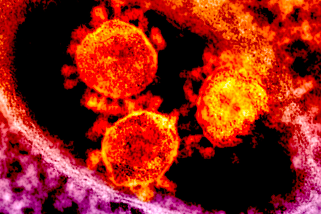 informacion coronavirus