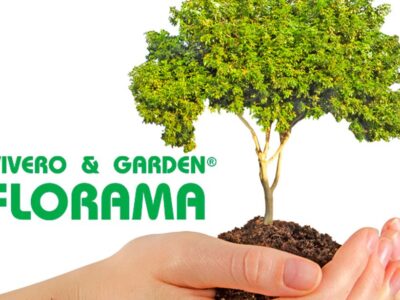 La importancia de la poda de árboles y el mantenimiento del jardín, por FLORAMA
