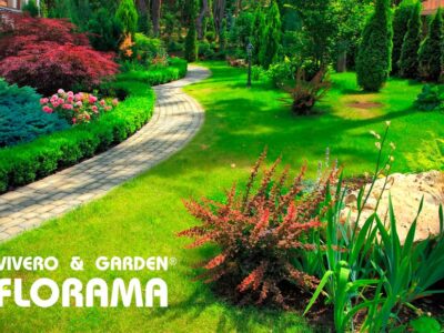 Cómo diseñar un jardín: técnicas, consejos e ideas originales, por VIVEROS FLORAMA
