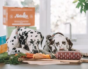 Natuka lleva el concepto ‘realfooding’ al mundo de las mascotas con menús personalizados a domicilio