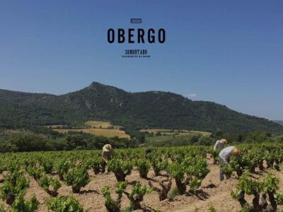 El vino tinto del Somontano tiene como principal embajador a Obergo