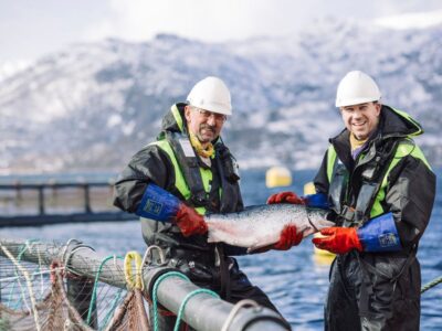 España en el pódium de los mayores consumidores de pescado del mundo