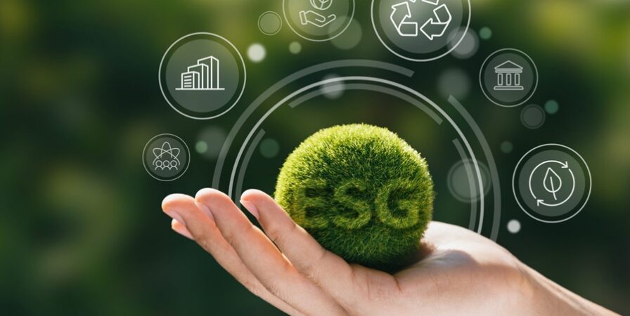 Las PYMES y los factores ESG: ¿el futuro está en la sostenibilidad?