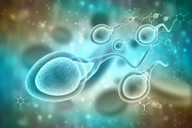 Tratamientos que mejoran la fertilidad de los espermatozoides