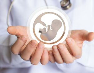 Embriones y útero trabajan en equipo para el éxito de la reproducción asistida