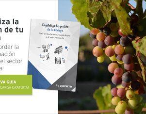La transformación digital, una necesidad imperiosa en el sector vitivinícola