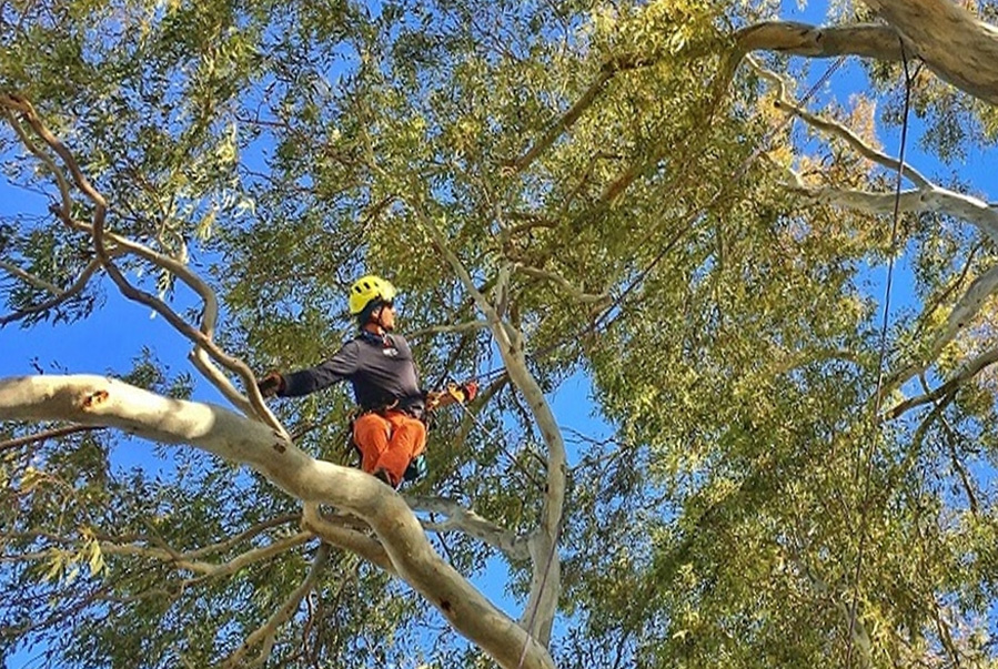 Responsabilidades legales de propietarios y administraciones