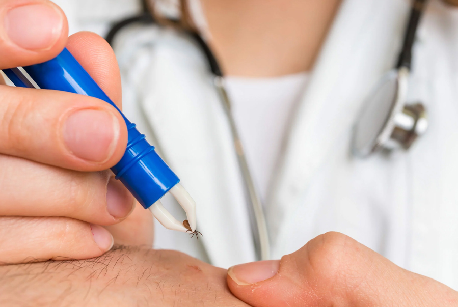 Señales tempranas y manifestaciones avanzadas