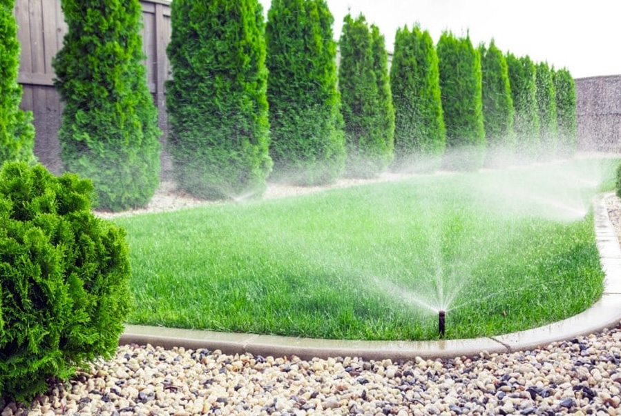 Servicios avanzados y especializados Servicios avanzados y especializados