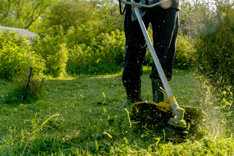 Servicios esenciales para el cuidado del jardín Servicios esenciales para el cuidado del jardín