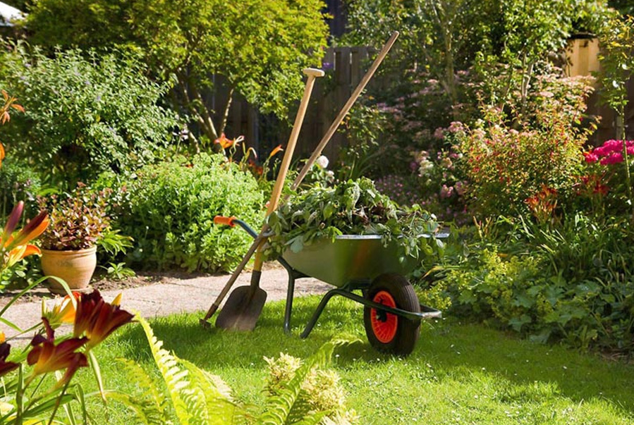 Todo lo que incluye el cuidado integral de zonas verdes Todo lo que incluye el cuidado integral de zonas verdes