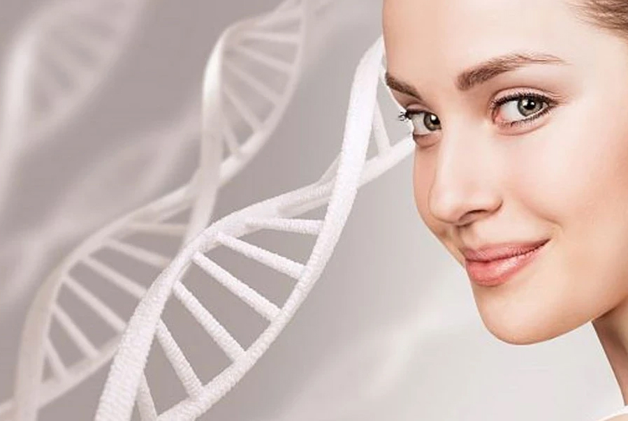 ¿Qué son los exosomas y por qué son el "santo grial" de la regeneración? ¿Qué son los exosomas y por qué son el "santo grial" de la regeneración?