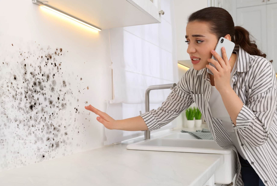 Qué hacer para eliminar la humedad de casa de forma definitiva Qué hacer para eliminar la humedad de casa de forma definitiva